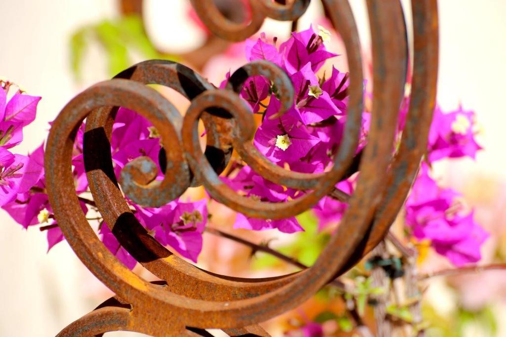Mas De Mariette Bed & Breakfast Noves Luaran gambar